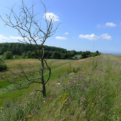 OudeIjselmeerdijk