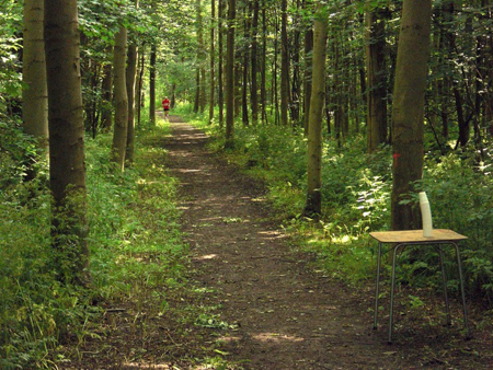 bosloop1