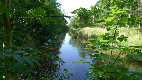 Hooge Kwelsloot