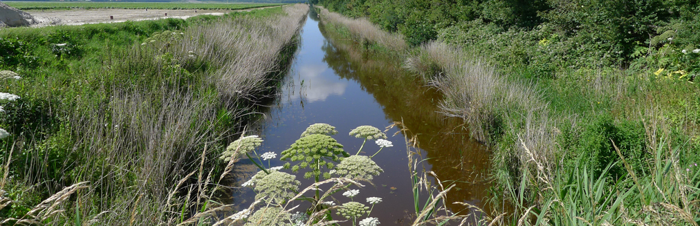 Hooge Kwelsloot