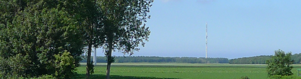 Dijkgatsweide zomer 2011